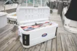 Ice Chest Cooler