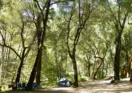 Nacimiento Campground in Big Sur