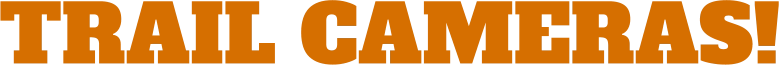TRAIL CAMERAS!