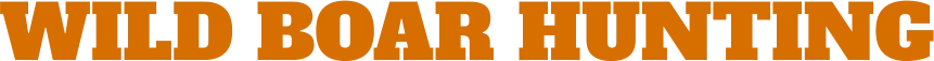 WILD BOAR HUNTING