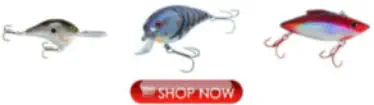 Bass Fishing Lures for Big Bear Lake