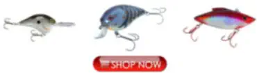 Bass Lures for Bass Lake Fishing