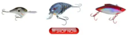 Bass Lures for Lake Amador Fishing