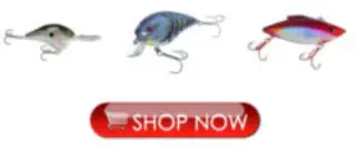 Bass Lures for Silverwood Lake Fishing