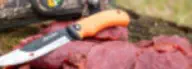 Best Hunting Knife