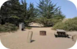 Bodega Dunes Campground in Bodega Bay