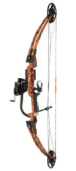 Bowfishing Bow