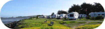 Doran Beach Campground in Bodega Bay
