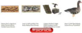 Duck Goose Hunting Decoys