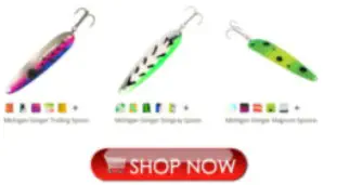 Fishing Lures for Silverwood Lake Fishing