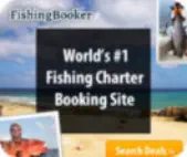 Guided Fishing Trips for Summer Fun