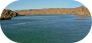 Largemouth Bass Fishing at Lake Havasu