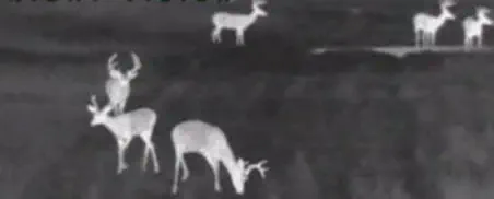 Night Vision Scope