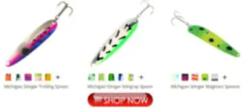 Rainbow Trout Lures