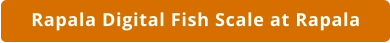 Rapala High Contrast Digital Fish Scale