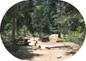 Stumpy Meadows Reservoir Camping