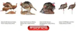 Turkey Hunting Decoys